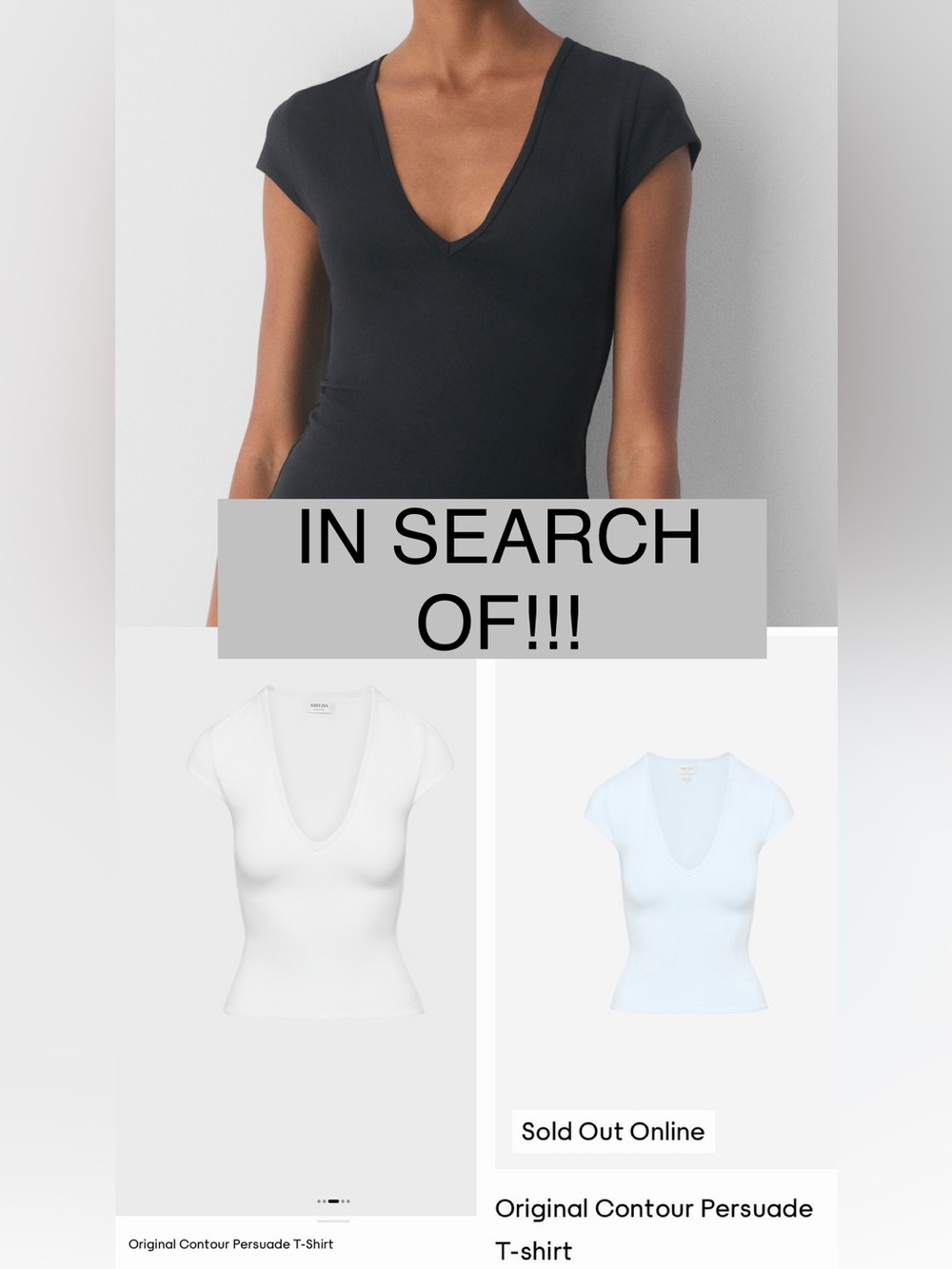 IN SEARCH OF Aritzia Original Contour Persuade T-Shirt